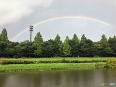虹。