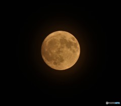 十五夜（中秋の名月）