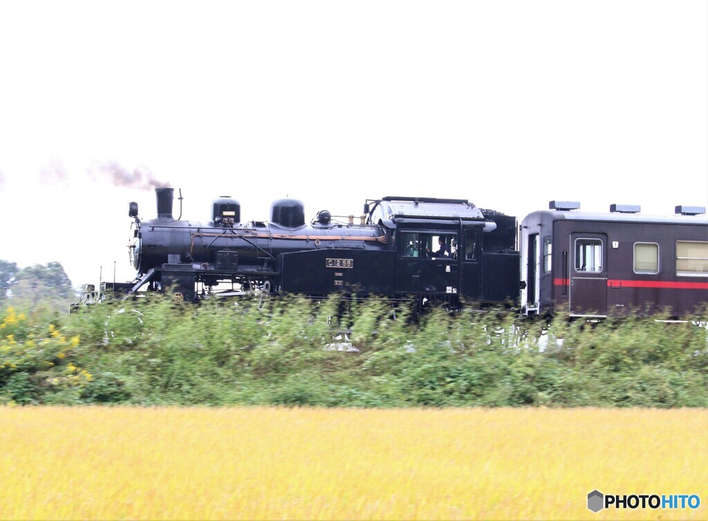 回送列車。