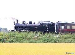 回送列車。