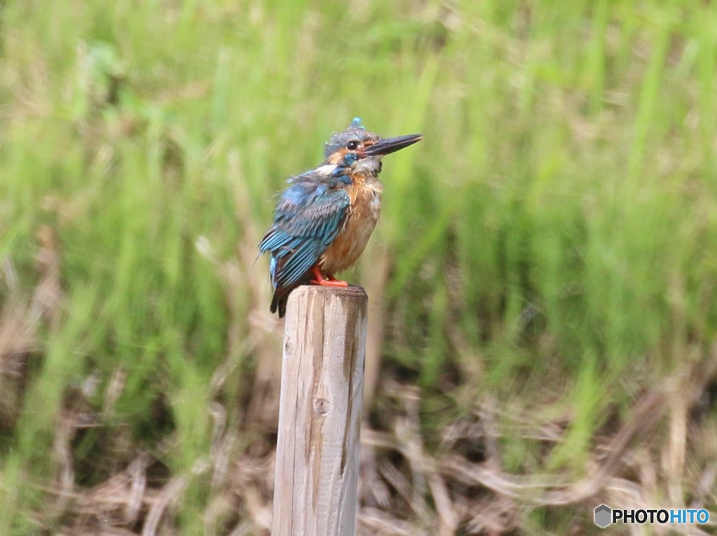 私疲れました。