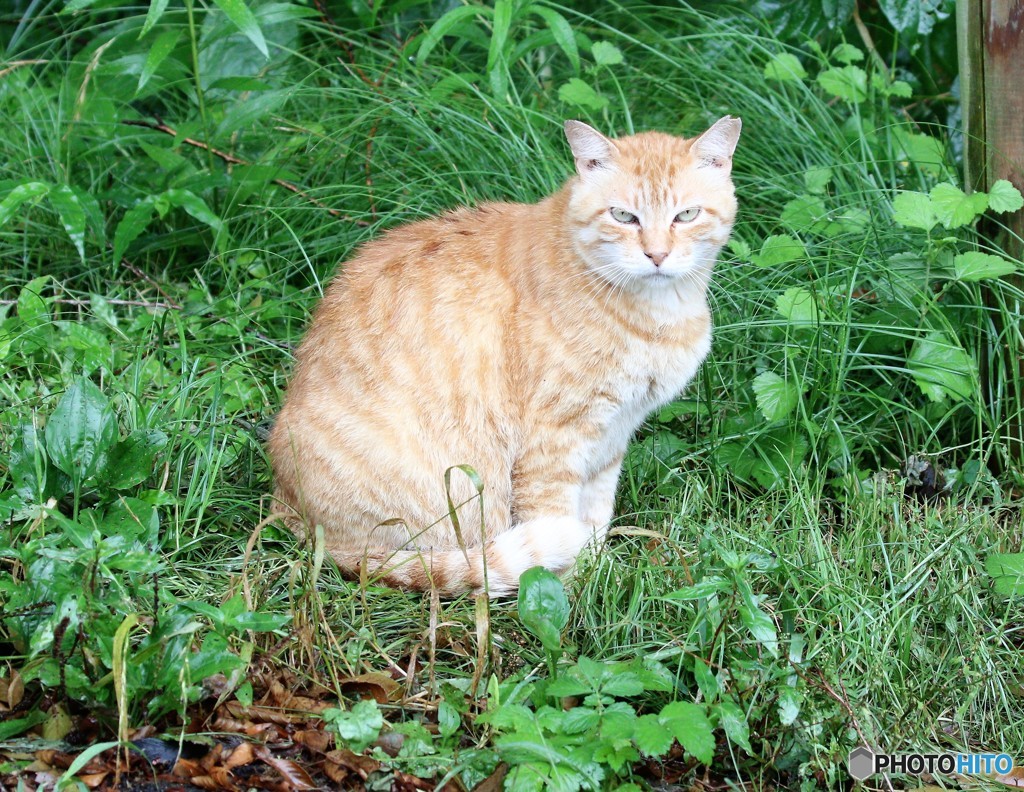 雨の中で・・・