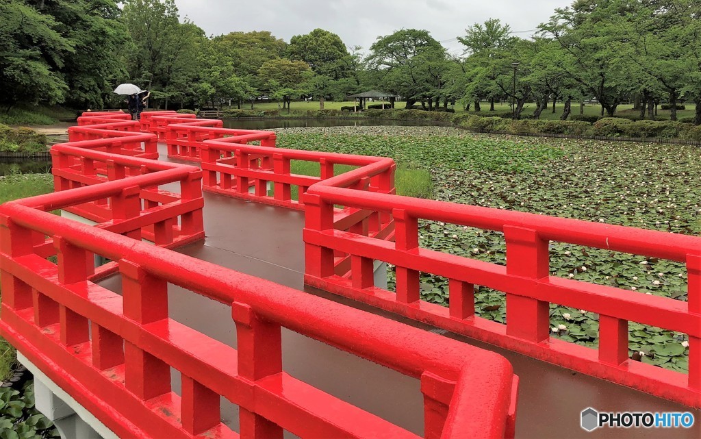 雨の公園。