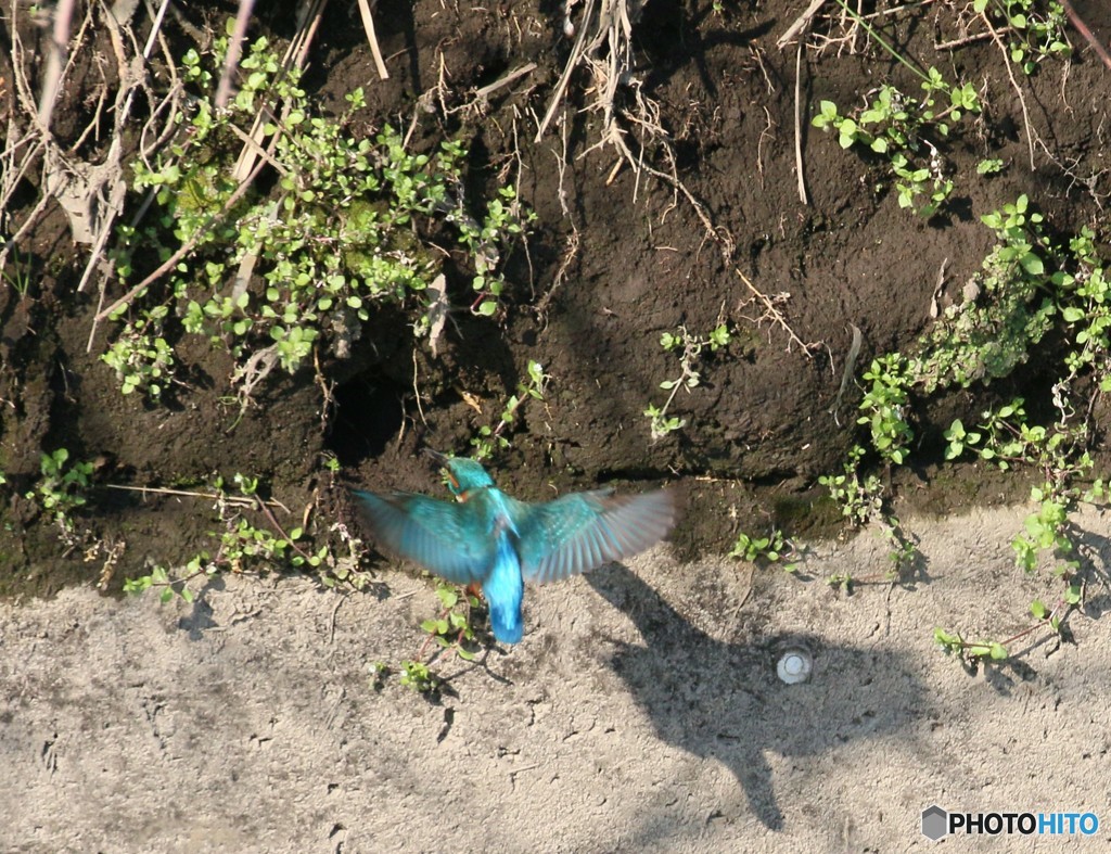 お帰りなさい４－３