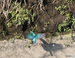 お帰りなさい４－３