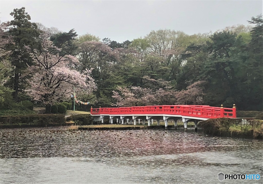 雨の公園。