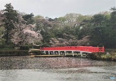 雨の公園。