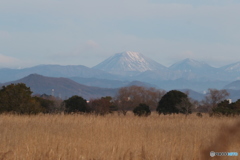男体山と渡良瀬遊水地。