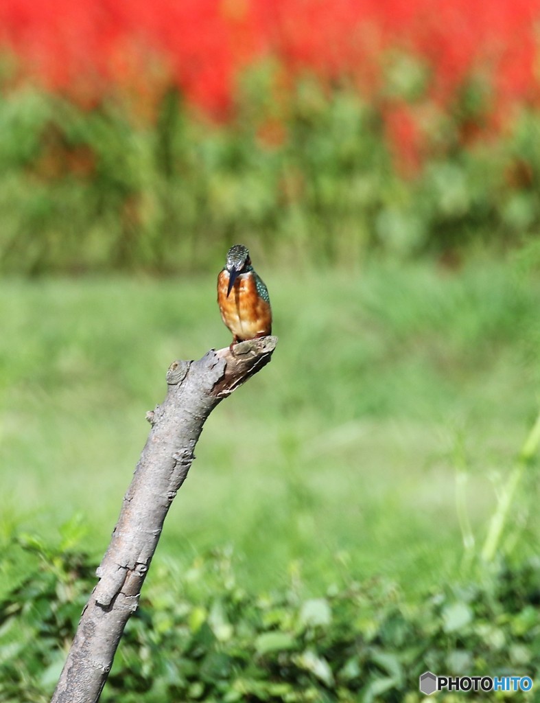 しばらくぶりに