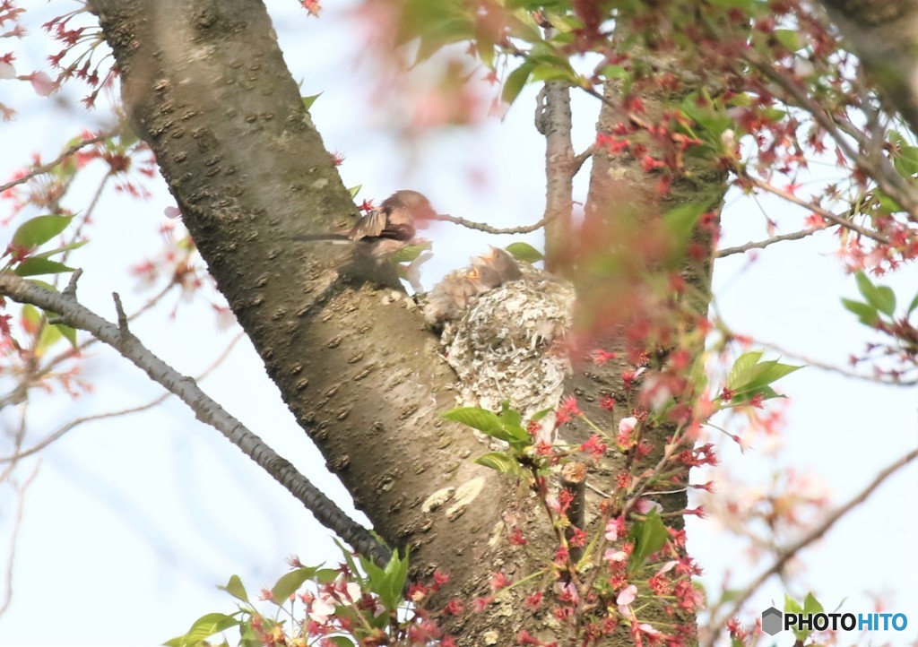 子育て中です。