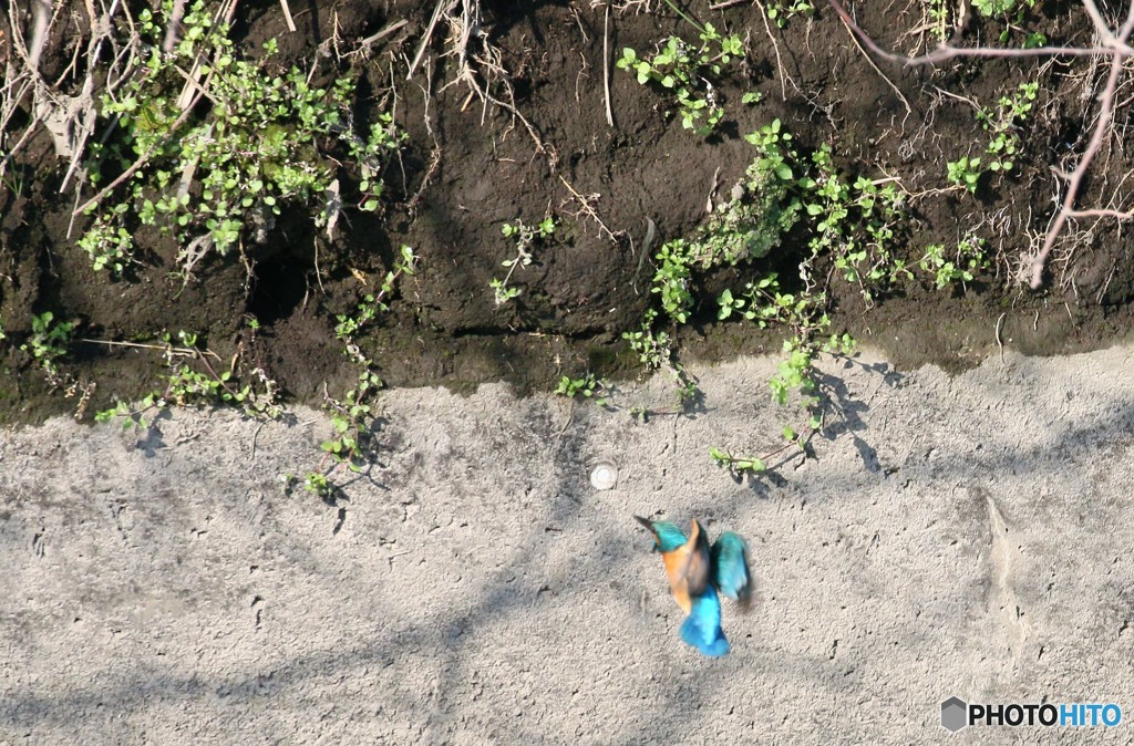 お帰りなさい４－１