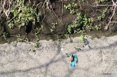 お帰りなさい４－１