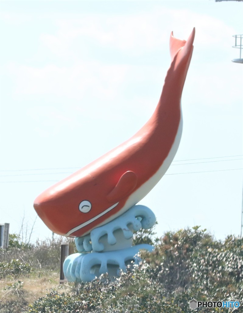 オレンジのクジラさん。