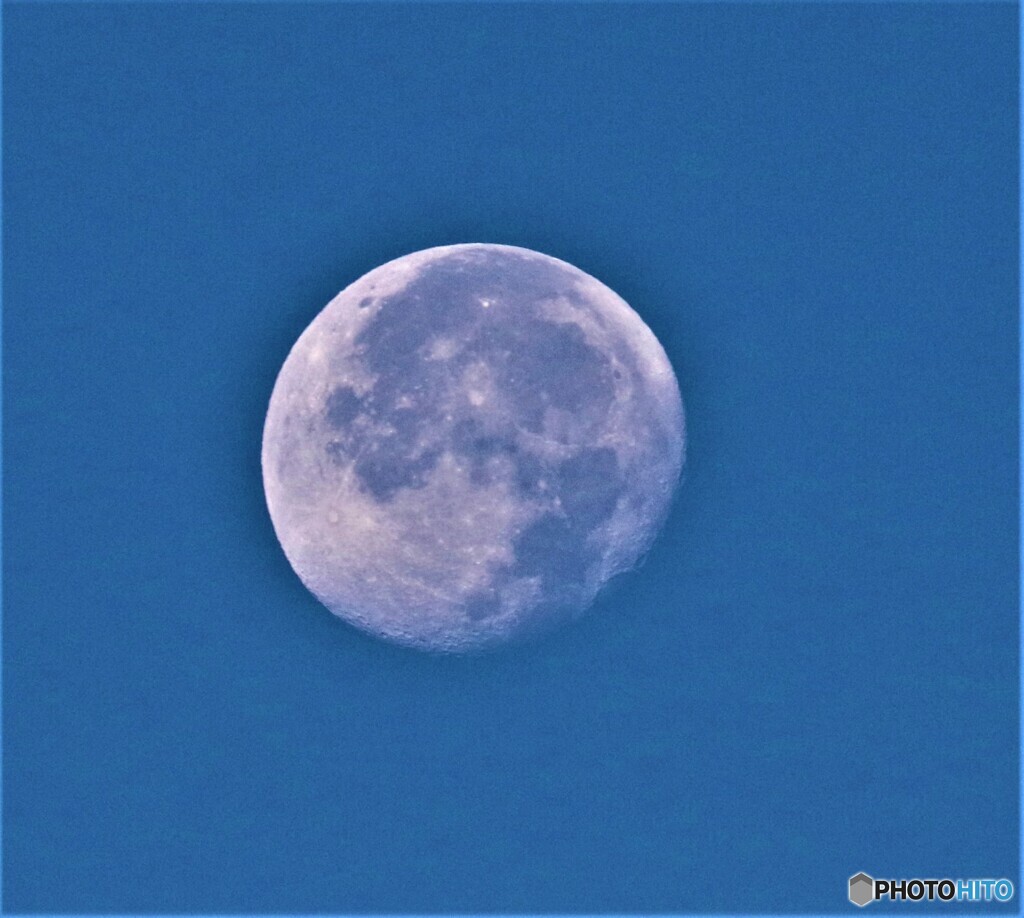 朝の月。