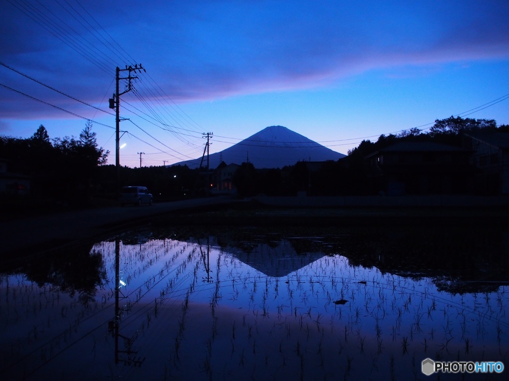田んぼと富士山
