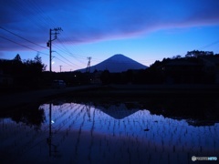 田んぼと富士山