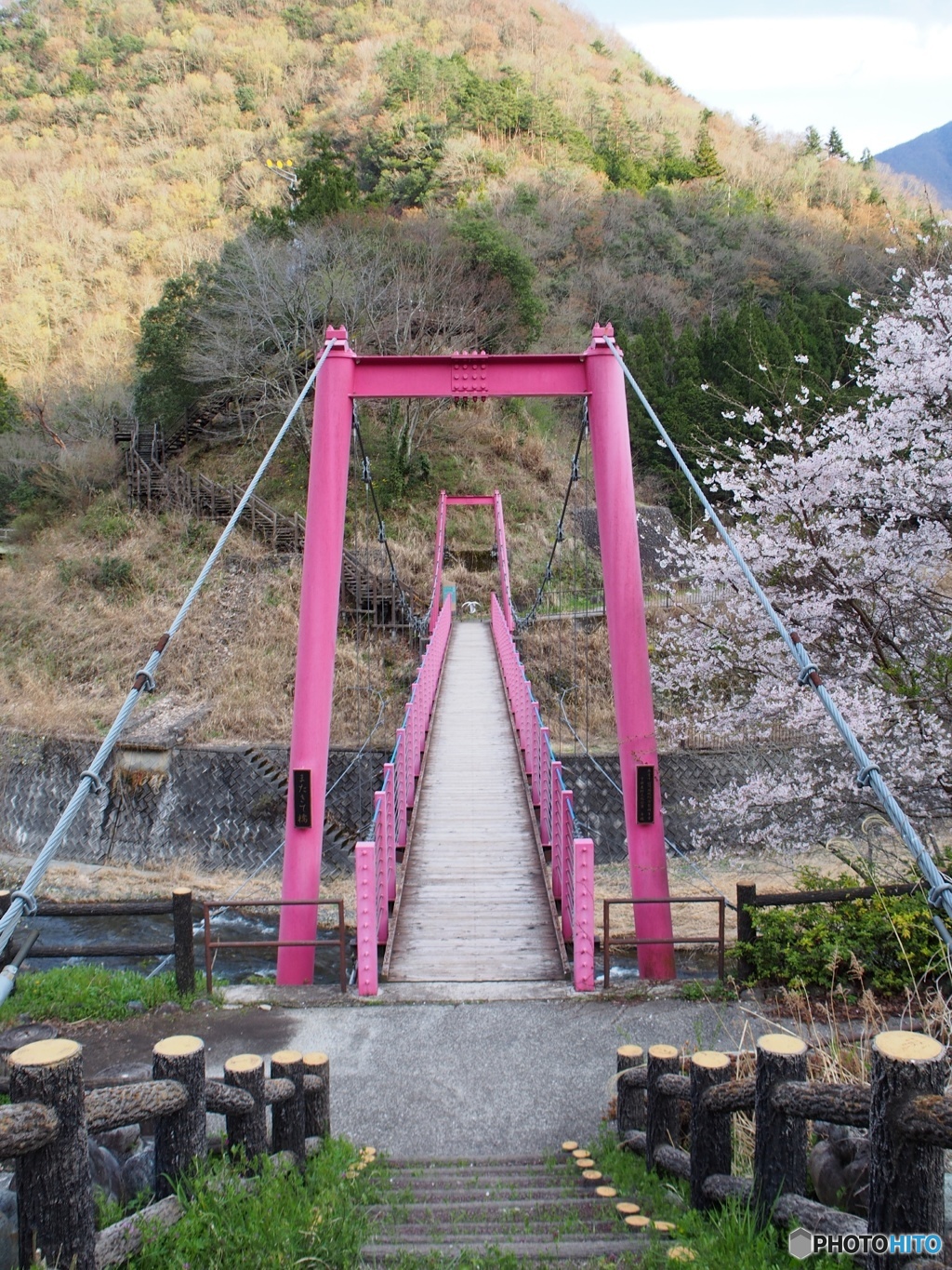 ピンクづくし