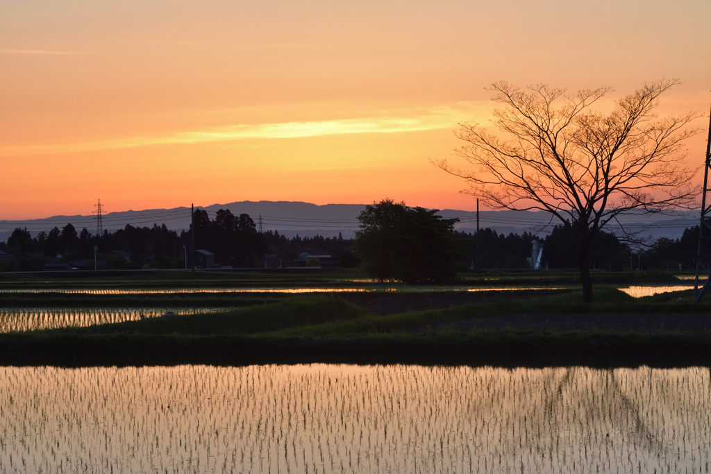 ふるさとの夕暮れ(3)