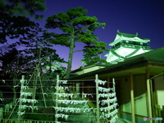 岡崎城