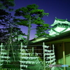 岡崎城