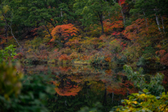 長野の秋