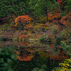 長野の秋