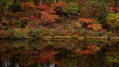 長野の秋