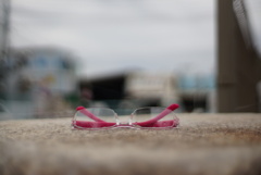 LRG_DSC01262