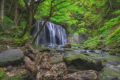 王道の滝