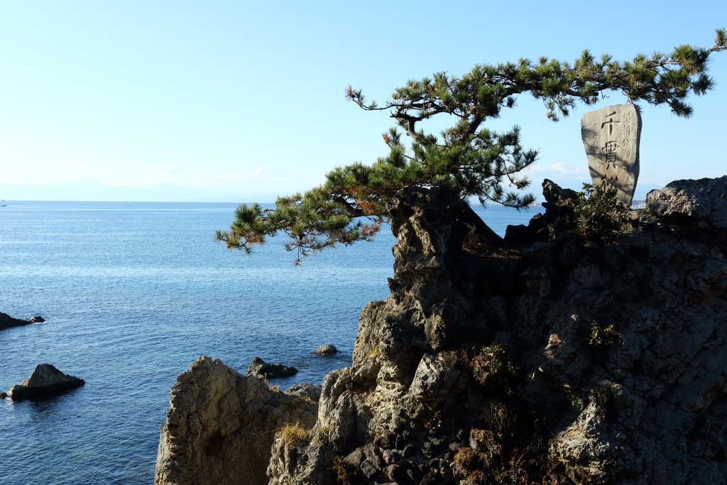 森戸の海