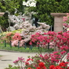 近所の公園４
