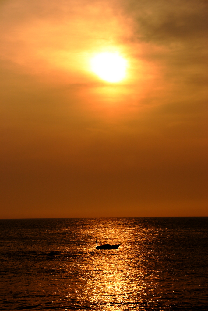 sunlight