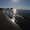 walk in the sunshine