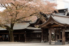 春暮れ
