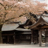 春暮れ