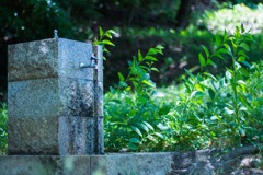 公園にて