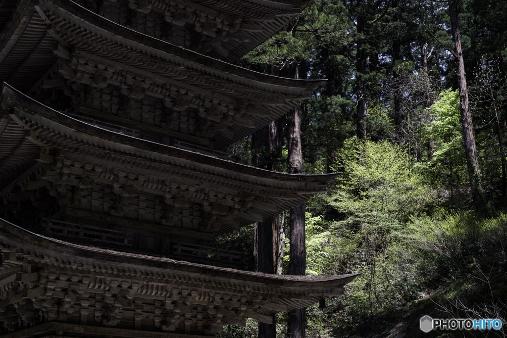 山形県鶴岡市羽黒町 羽黒山