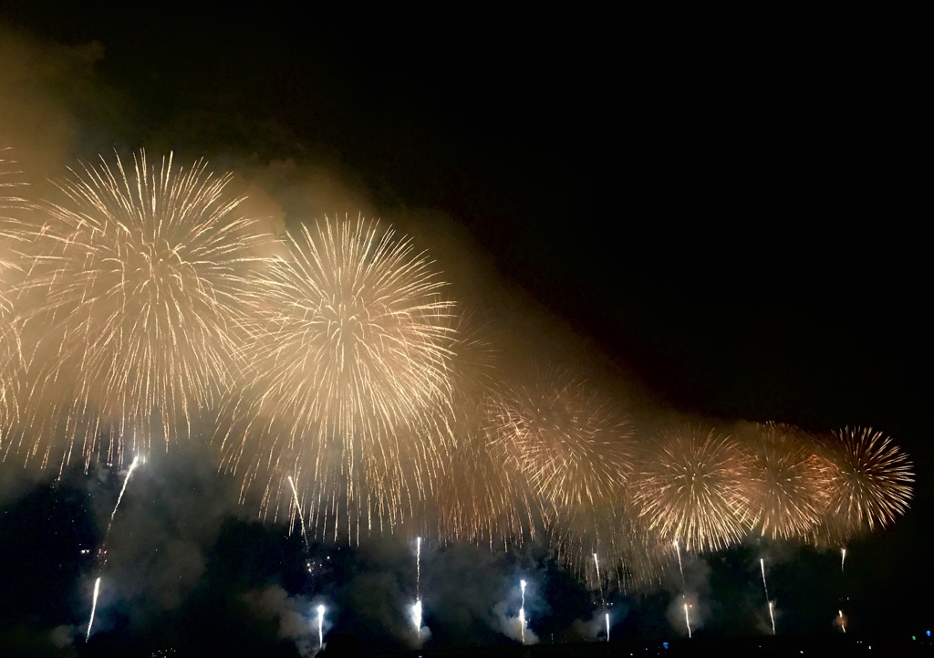 長岡花火 フェニックス