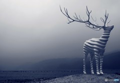 Reborn-Art Festival