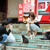 猫と人