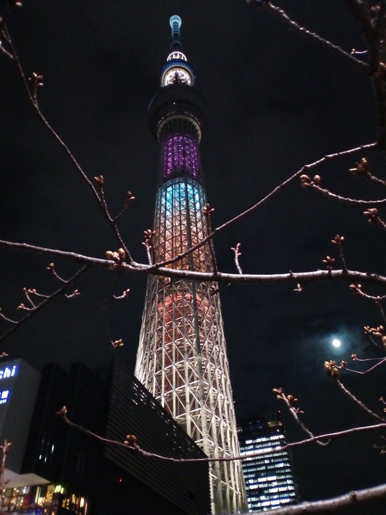 夜の塔