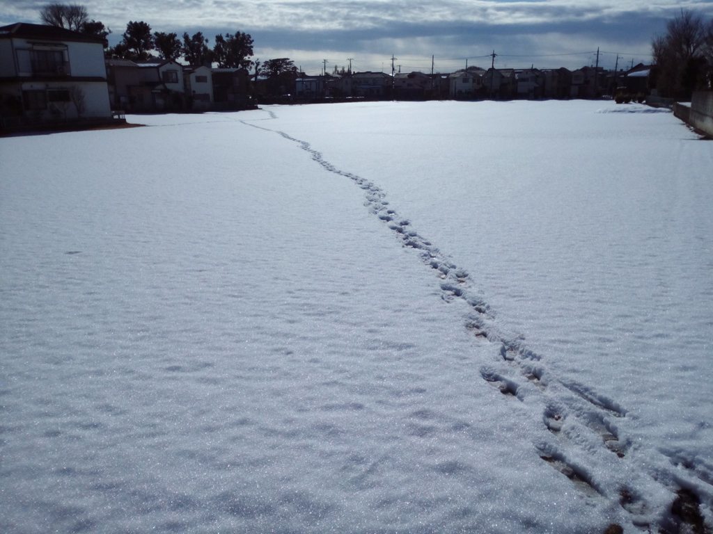 都内で雪の足跡