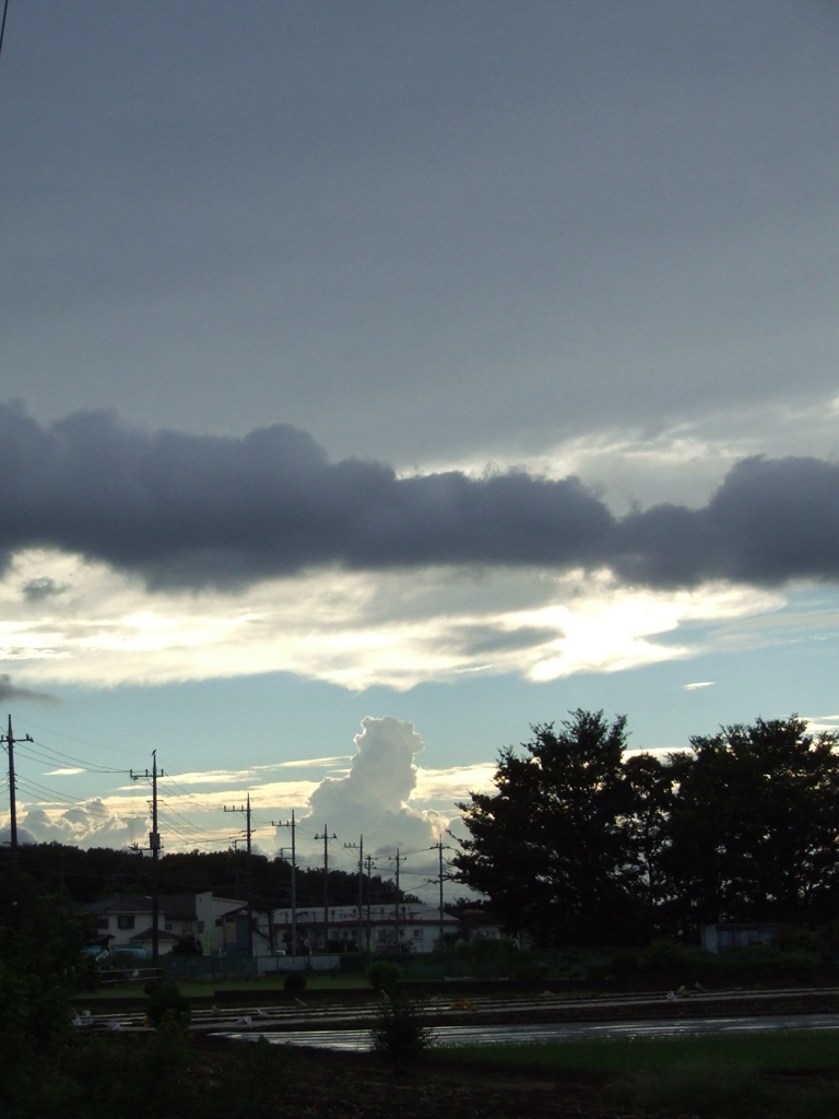 入道雲が見える