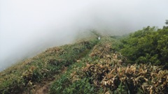 笹ヶ峰の雲海を歩く
