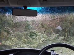 雨降りの向こうで