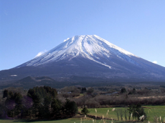 富士山