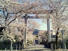 石鎚神社花盛り