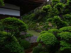 春の龍潭寺 2