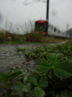 雨の畦道