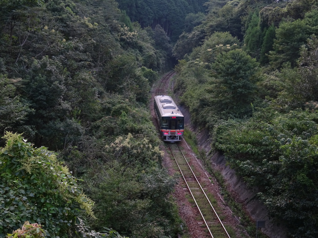 谷間を縫う